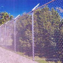 Hot sales  Chain Link Fence